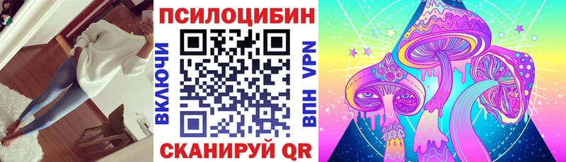 кракен Кандалакша Галлюциногенные грибы Psilocybine cubensis