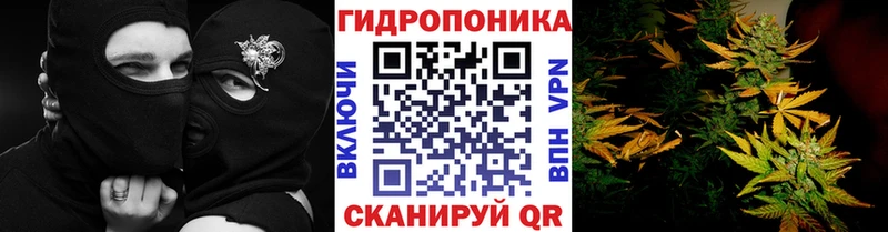 маркетплейс состав  магазин продажи наркотиков  Кандалакша  Марихуана Amnesia 